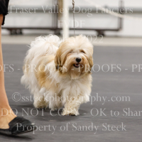 _VDS0615 (2)